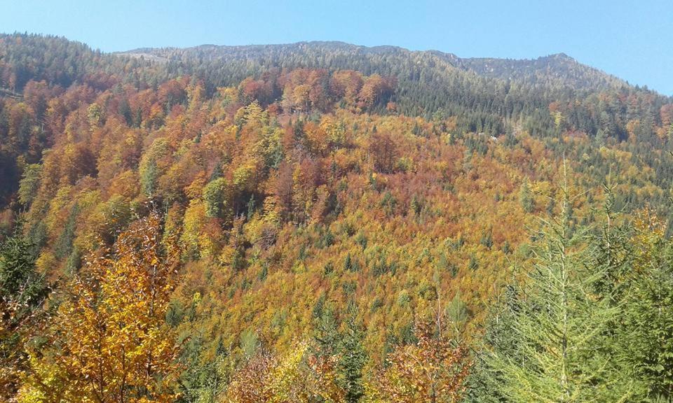 Loža Loka At Raduha Ljubljana