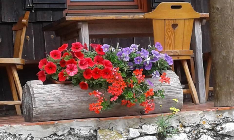 Loža Loka At Raduha